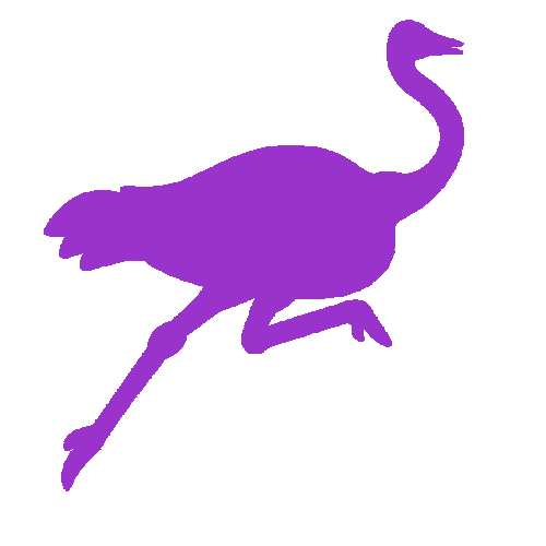 Nostr icon